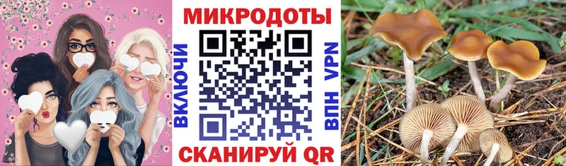 где найти   Кропоткин  мега ссылка  Галлюциногенные грибы GOLDEN TEACHER 